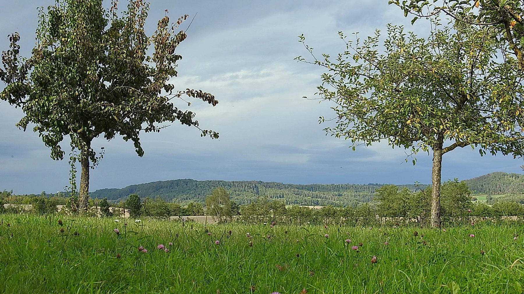 Aussicht vom Ofenberg